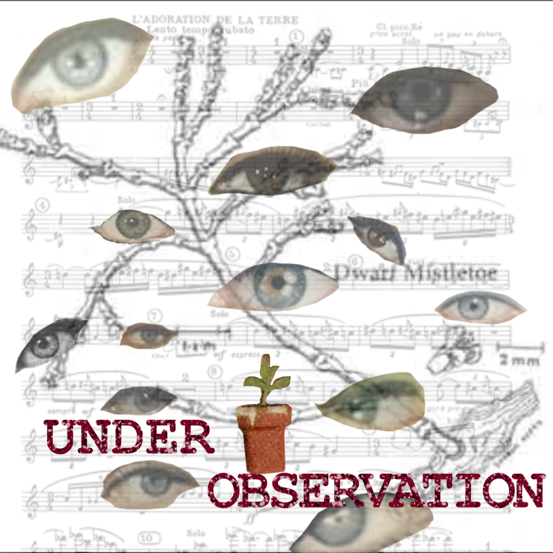 Under Observation